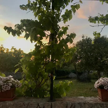 Trulleria Tagliente * Αλμπερομπέλο